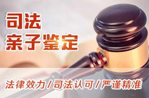 浙江司法亲子鉴定价格,浙江司法DNA鉴定如何做